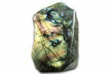 Tall, Single Side Polished Labradorite - Free-Standing #341820-1